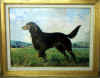 30' X 40' OIL PAINTING " RED SETTER" $2500-$4500